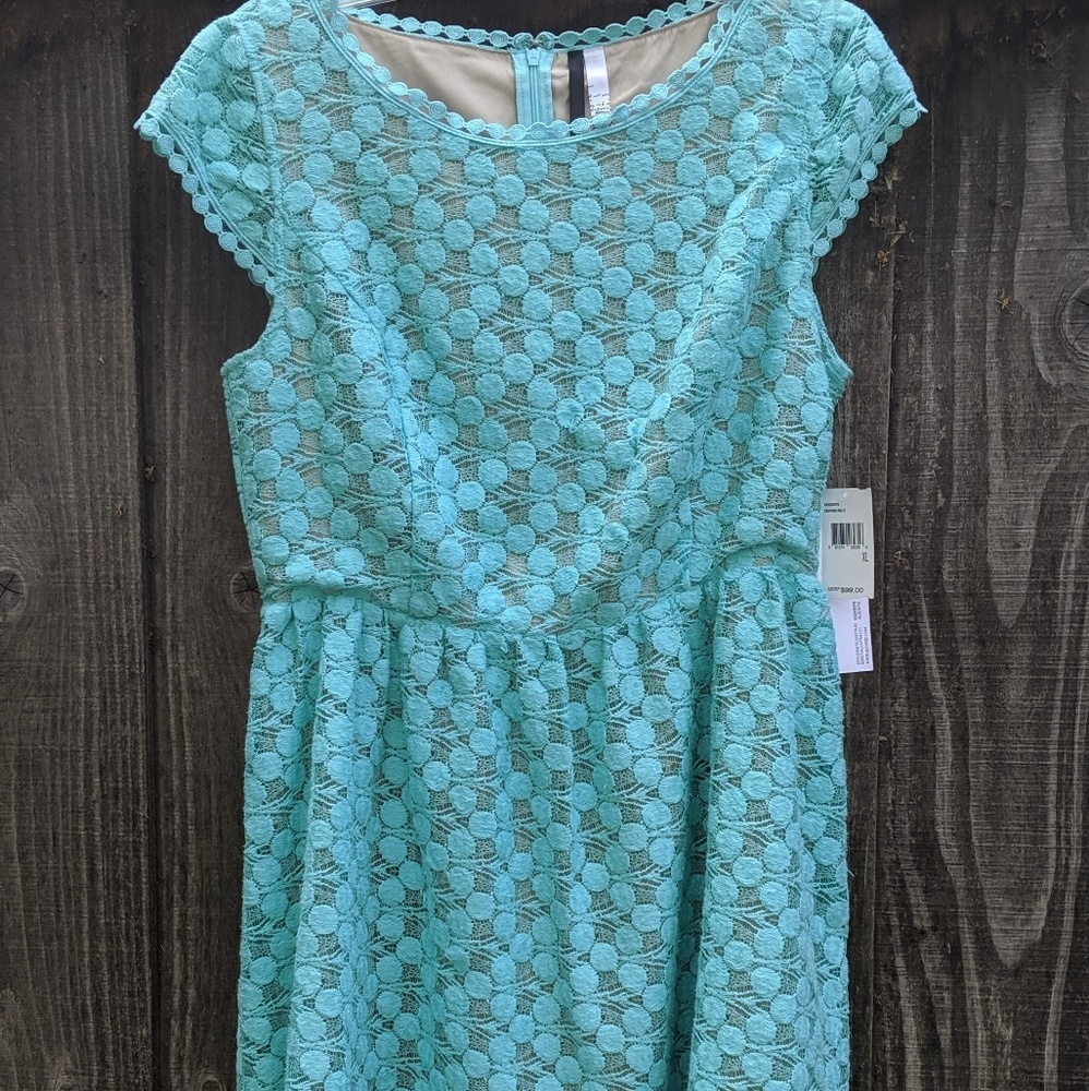 Moving sale! NWT ✨ Kensie Baby Blue Textured Dress